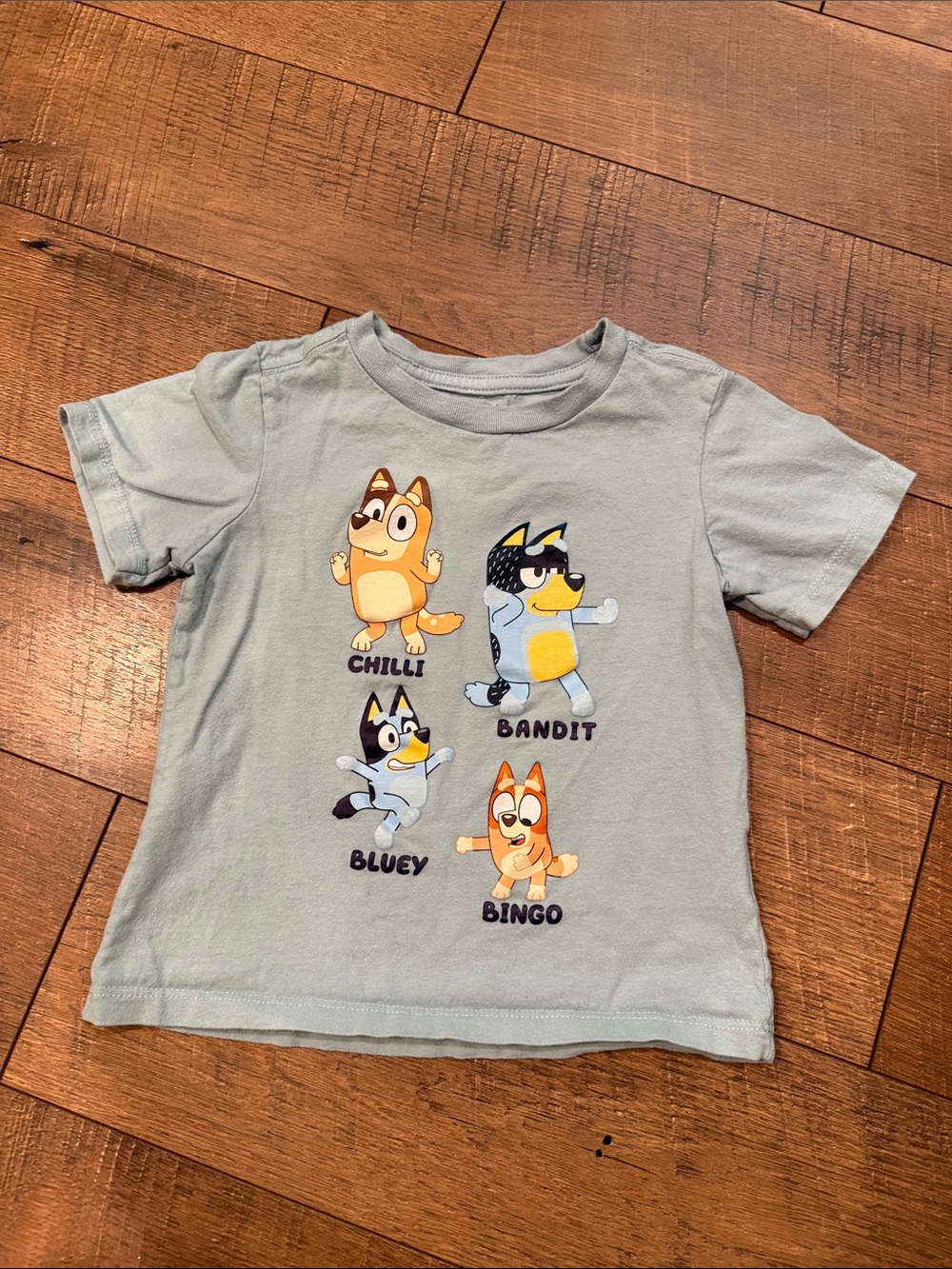 Bluey & Family Graphic Tee